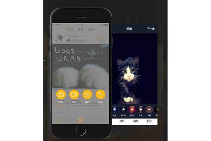 宠物电商平台开发需要具备什么便捷服务